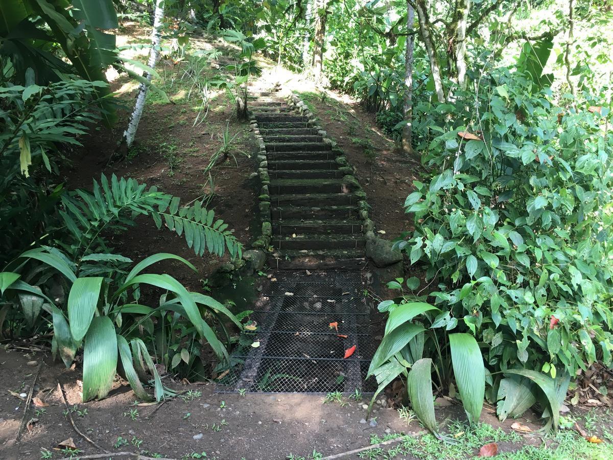 Amazonita Ecolodge Dos Brazos Eksteriør billede