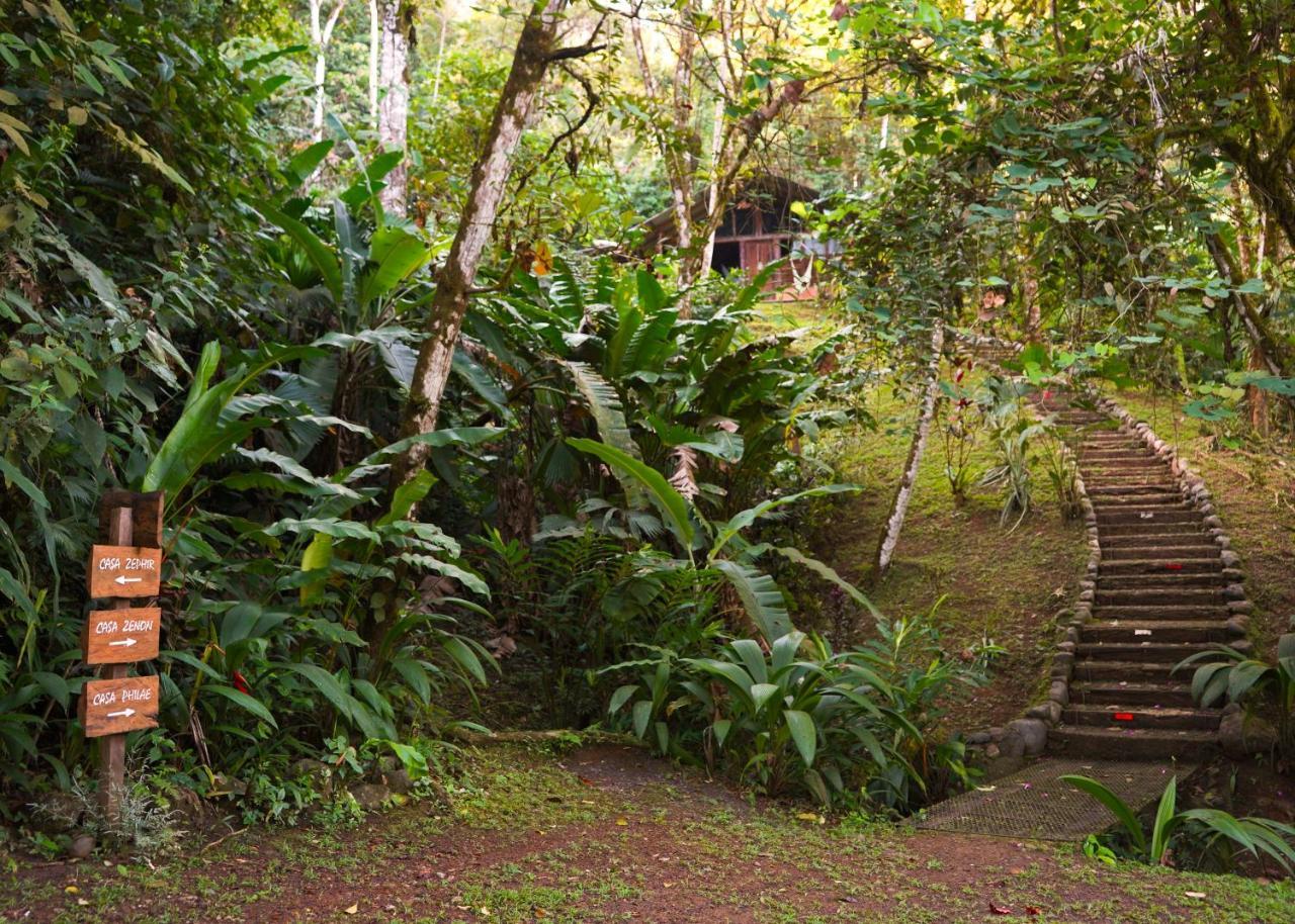 Amazonita Ecolodge Dos Brazos Eksteriør billede